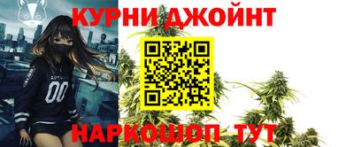 крисы Кинель
